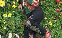 果冻传媒MV逃亡的兄妹